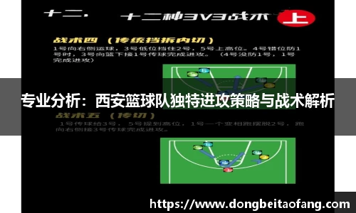 乐动体育网页版