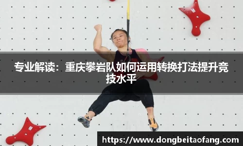 乐动体育平台