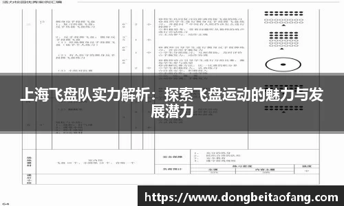 上海飞盘队实力解析：探索飞盘运动的魅力与发展潜力