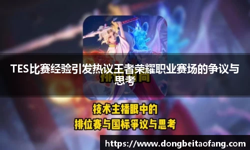 TES比赛经验引发热议王者荣耀职业赛场的争议与思考